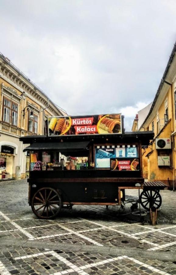 Studio Republicii Daire Braşov Dış mekan fotoğraf