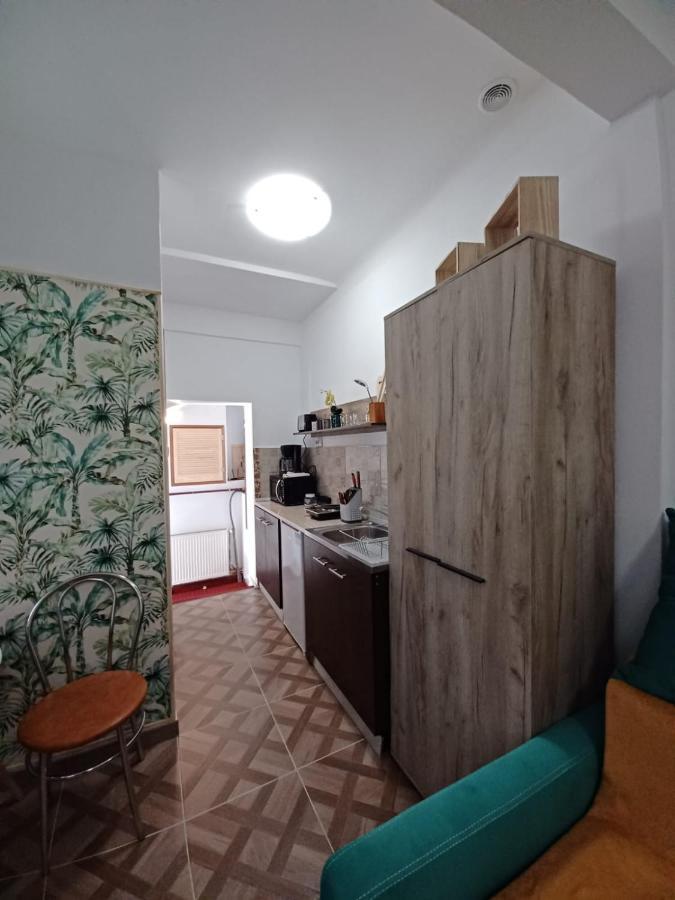 Studio Republicii Daire Braşov Dış mekan fotoğraf